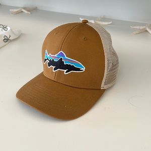 Patagonia Trucker Hat